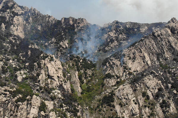 Home forest fire prevention c1