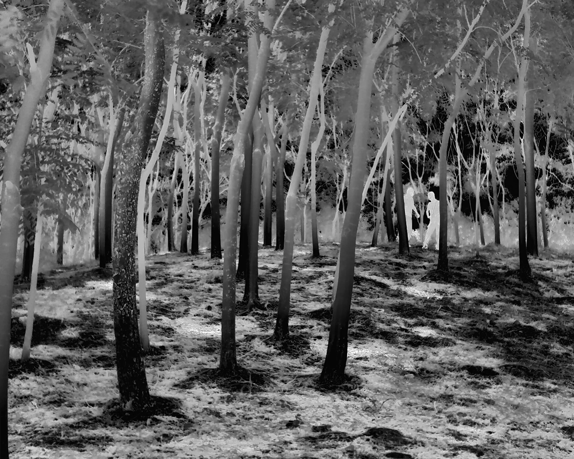 Home twin1212 25mm yanjnzx2dluj3jol